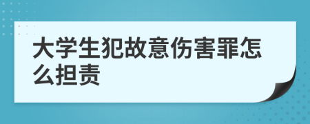 大学生犯故意伤害罪怎么担责