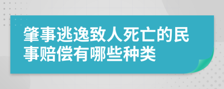 肇事逃逸致人死亡的民事赔偿有哪些种类