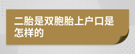 二胎是双胞胎上户口是怎样的