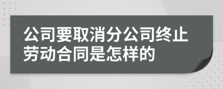 公司要取消分公司终止劳动合同是怎样的