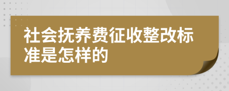 社会抚养费征收整改标准是怎样的