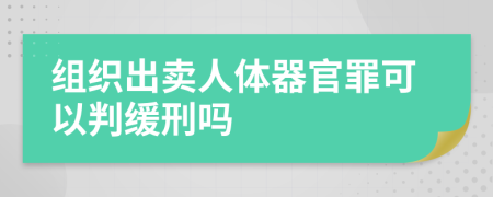 组织出卖人体器官罪可以判缓刑吗