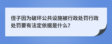 侄子因为破坏公共设施被行政处罚行政处罚要有法定依据是什么？