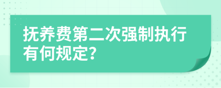 抚养费第二次强制执行有何规定？