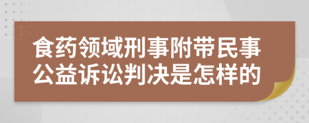 食药领域刑事附带民事公益诉讼判决是怎样的