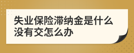 失业保险滞纳金是什么没有交怎么办