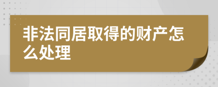 非法同居取得的财产怎么处理
