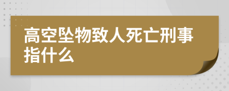 高空坠物致人死亡刑事指什么