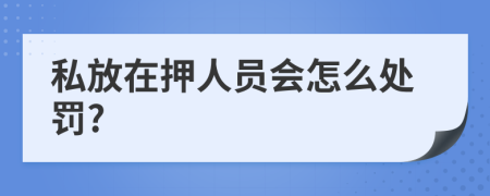 私放在押人员会怎么处罚?