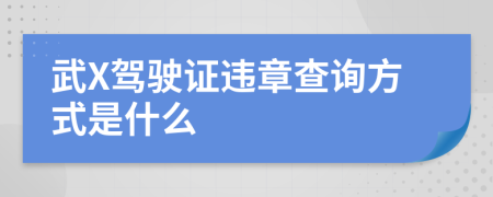 武X驾驶证违章查询方式是什么