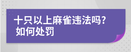 十只以上麻雀违法吗? 如何处罚