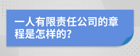 一人有限责任公司的章程是怎样的？