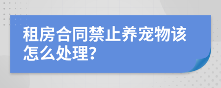 租房合同禁止养宠物该怎么处理？