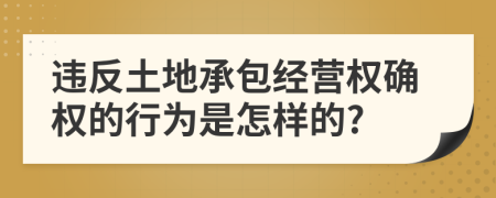 违反土地承包经营权确权的行为是怎样的?