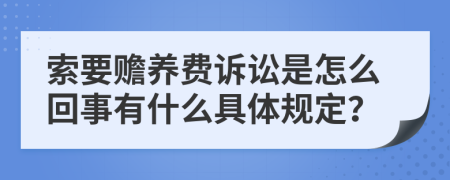 索要赡养费诉讼是怎么回事有什么具体规定？