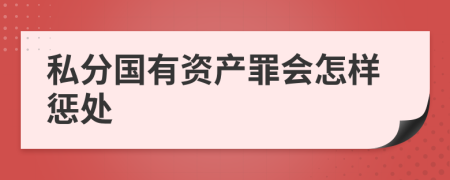 私分国有资产罪会怎样惩处