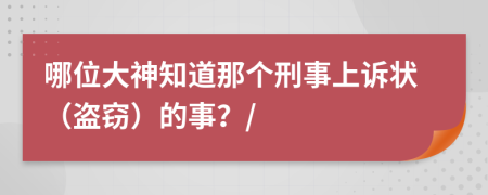 哪位大神知道那个刑事上诉状（盗窃）的事？/