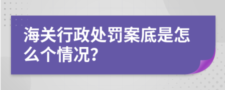 海关行政处罚案底是怎么个情况？