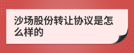 沙场股份转让协议是怎么样的