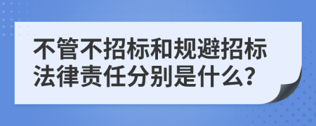 不管不招标和规避招标法律责任分别是什么？