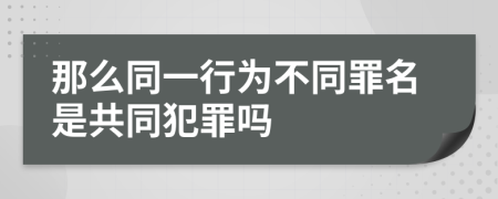 那么同一行为不同罪名是共同犯罪吗