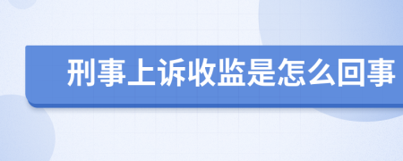 刑事上诉收监是怎么回事