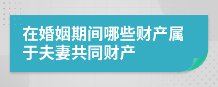 在婚姻期间哪些财产属于夫妻共同财产