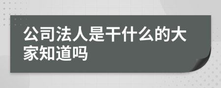 公司法人是干什么的大家知道吗