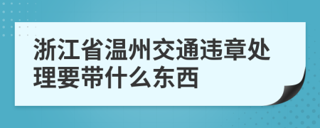 浙江省温州交通违章处理要带什么东西