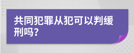 共同犯罪从犯可以判缓刑吗？