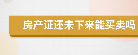 房产证还未下来能买卖吗
