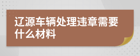 辽源车辆处理违章需要什么材料