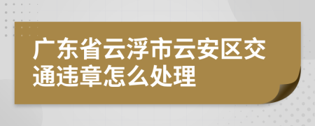 广东省云浮市云安区交通违章怎么处理