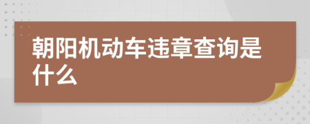 朝阳机动车违章查询是什么