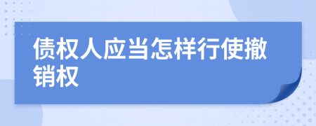 债权人应当怎样行使撤销权