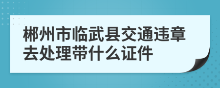 郴州市临武县交通违章去处理带什么证件