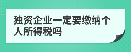 独资企业一定要缴纳个人所得税吗