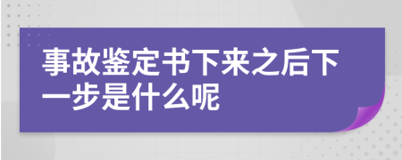 事故鉴定书下来之后下一步是什么呢