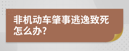 非机动车肇事逃逸致死怎么办?