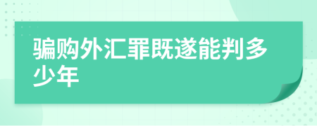 骗购外汇罪既遂能判多少年