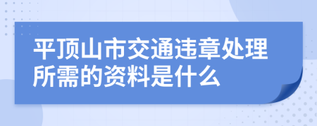 平顶山市交通违章处理所需的资料是什么