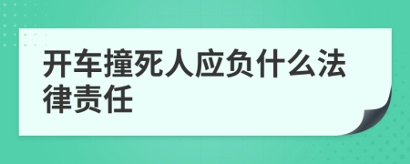 开车撞死人应负什么法律责任