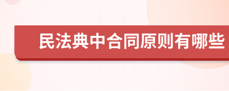 民法典中合同原则有哪些