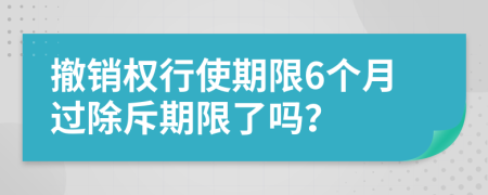 撤销权行使期限6个月过除斥期限了吗？