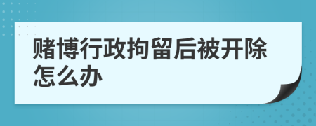赌博行政拘留后被开除怎么办