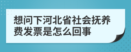 想问下河北省社会抚养费发票是怎么回事