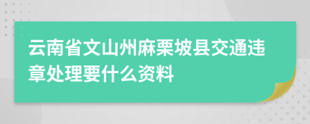 云南省文山州麻栗坡县交通违章处理要什么资料