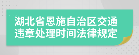 湖北省恩施自治区交通违章处理时间法律规定