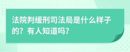 法院判缓刑司法局是什么样子的？有人知道吗？