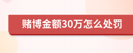 赌博金额30万怎么处罚